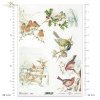 zima, ptak, sikorka, sikorki, rudzik, ptaszek, ptaszki, ostrokrzew, śnieg, winter, bird, tit, redstart, holly, snow, Winter, Vogel, Meise, Gartenrotschwanz, Stechpalme, Schnee, invierno, pájaro, herrerillo, pájaro, acebo, nieve